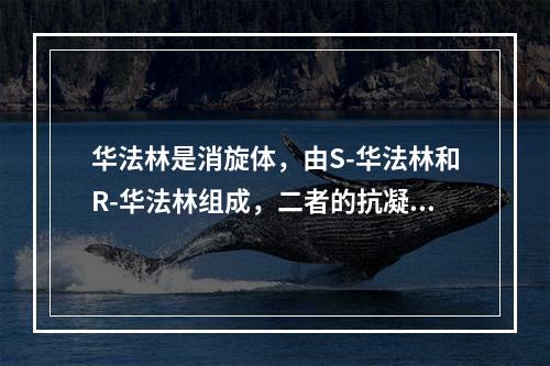 华法林是消旋体，由S-华法林和R-华法林组成，二者的抗凝作用