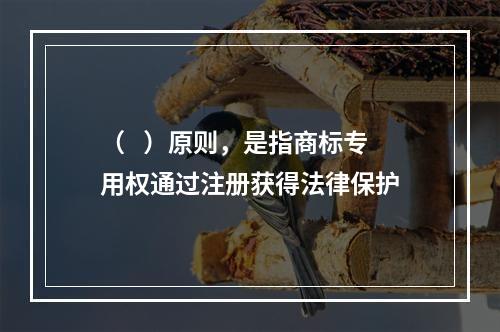 （   ）原则，是指商标专用权通过注册获得法律保护