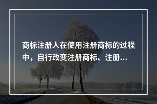 商标注册人在使用注册商标的过程中，自行改变注册商标、注册人名