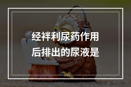 经袢利尿药作用后排出的尿液是