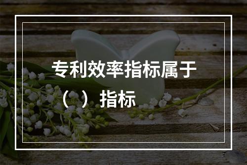 专利效率指标属于（   ）指标