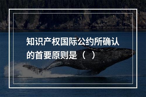 知识产权国际公约所确认的首要原则是（   ）