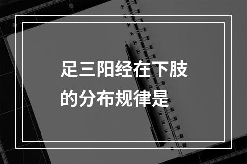 足三阳经在下肢的分布规律是