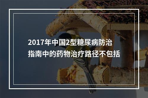 2017年中国2型糖尿病防治指南中的药物治疗路径不包括