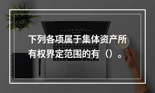 下列各项属于集体资产所有权界定范围的有（）。