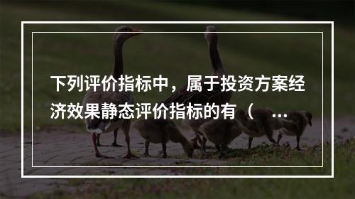 下列评价指标中，属于投资方案经济效果静态评价指标的有（　）。