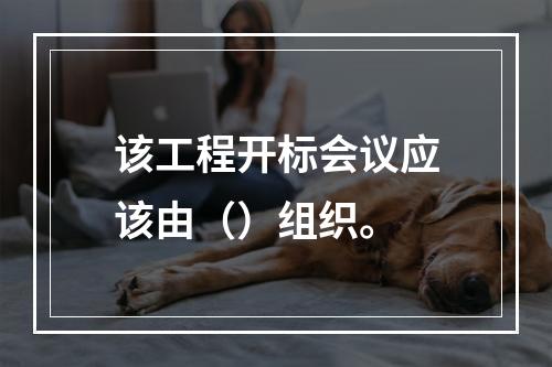 该工程开标会议应该由（）组织。