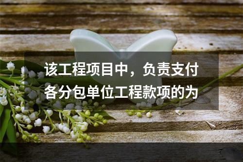 该工程项目中，负责支付各分包单位工程款项的为