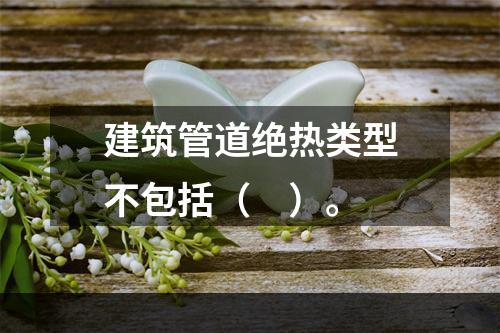 建筑管道绝热类型不包括（　）。