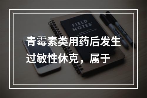 青霉素类用药后发生过敏性休克，属于