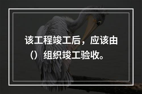 该工程竣工后，应该由（）组织竣工验收。