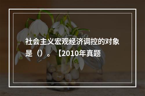 社会主义宏观经济调控的对象是（）。【2010年真题