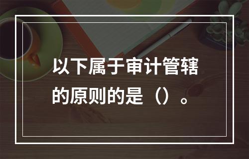 以下属于审计管辖的原则的是（）。