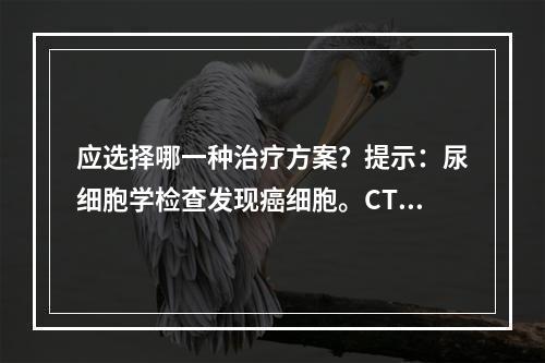 应选择哪一种治疗方案？提示：尿细胞学检查发现癌细胞。CT提示