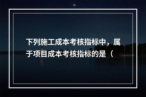 下列施工成本考核指标中，属于项目成本考核指标的是（