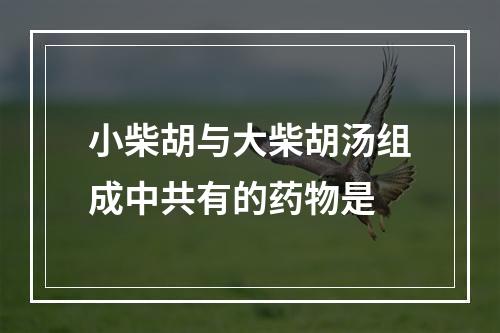 小柴胡与大柴胡汤组成中共有的药物是