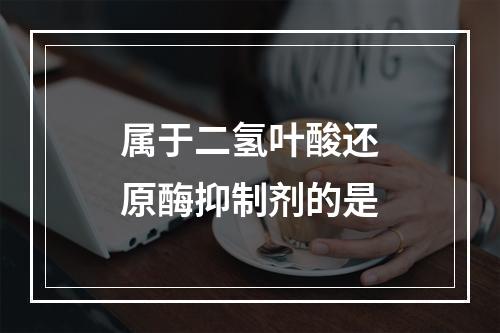 属于二氢叶酸还原酶抑制剂的是