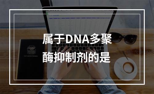 属于DNA多聚酶抑制剂的是