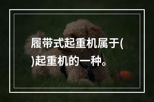 履带式起重机属于()起重机的一种。