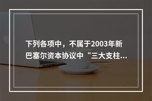 下列各项中，不属于2003年新巴塞尔资本协议中“三大支柱”的