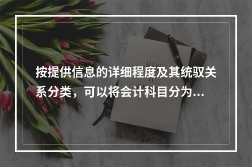 按提供信息的详细程度及其统驭关系分类，可以将会计科目分为（　