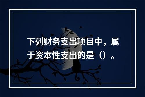 下列财务支出项目中，属于资本性支出的是（）。