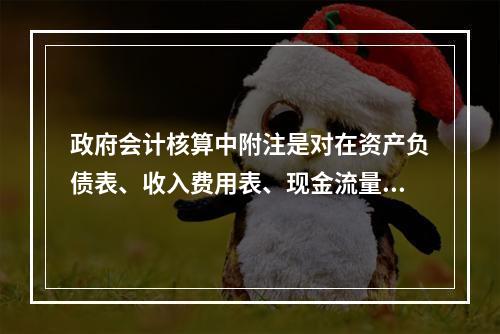 政府会计核算中附注是对在资产负债表、收入费用表、现金流量表等