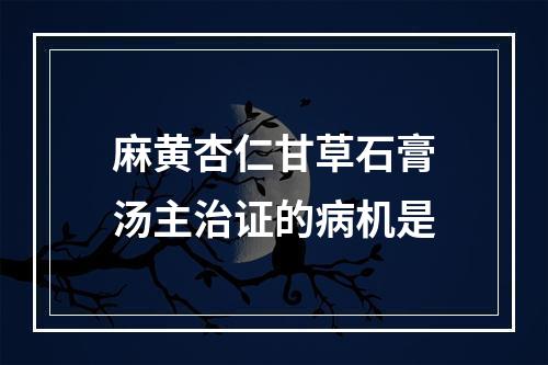 麻黄杏仁甘草石膏汤主治证的病机是