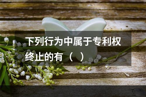 下列行为中属于专利权终止的有（   ）