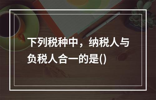 下列税种中，纳税人与负税人合一的是()