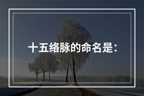 十五络脉的命名是：