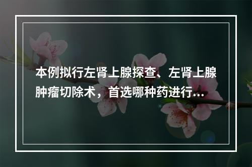 本例拟行左肾上腺探查、左肾上腺肿瘤切除术，首选哪种药进行术前