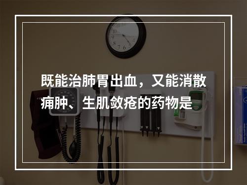 既能治肺胃出血，又能消散痈肿、生肌敛疮的药物是