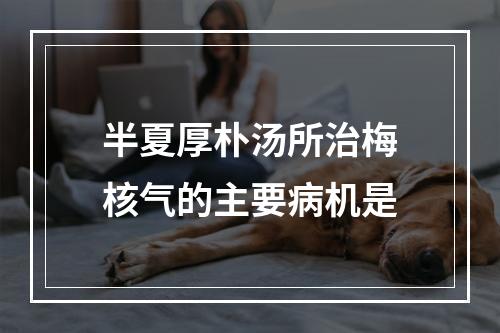 半夏厚朴汤所治梅核气的主要病机是