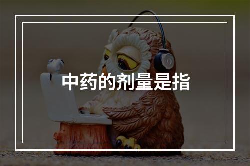 中药的剂量是指