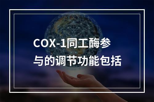 COX-1同工酶参与的调节功能包括