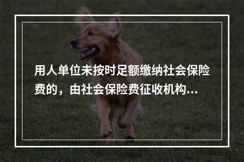 用人单位未按时足额缴纳社会保险费的，由社会保险费征收机构责令