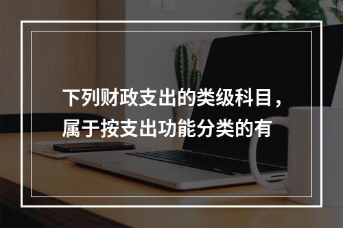 下列财政支出的类级科目，属于按支出功能分类的有