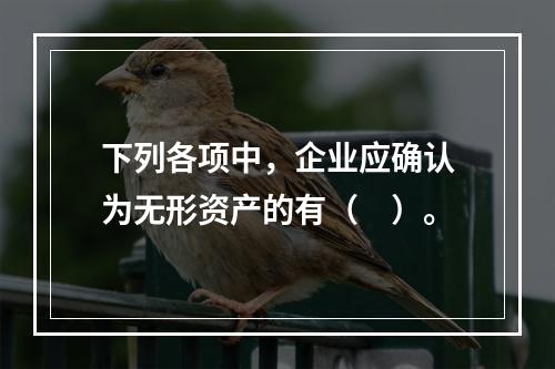 下列各项中，企业应确认为无形资产的有（　）。