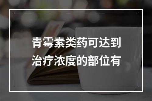 青霉素类药可达到治疗浓度的部位有