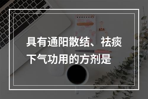 具有通阳散结、祛痰下气功用的方剂是