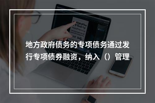 地方政府债务的专项债务通过发行专项债券融资，纳入（）管理