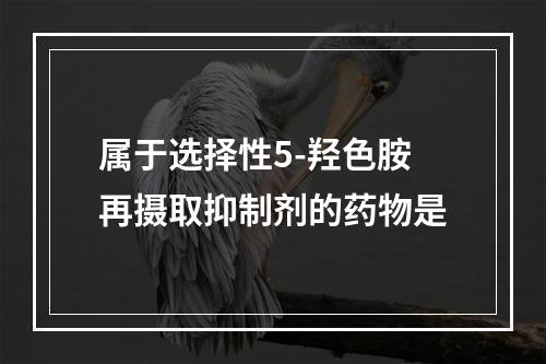 属于选择性5-羟色胺再摄取抑制剂的药物是