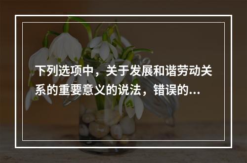 下列选项中，关于发展和谐劳动关系的重要意义的说法，错误的是（