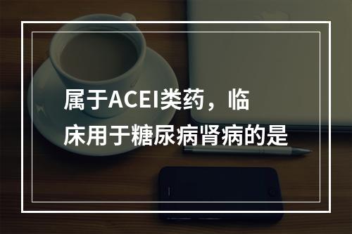 属于ACEI类药，临床用于糖尿病肾病的是