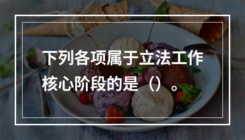 下列各项属于立法工作核心阶段的是（）。