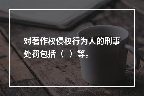 对著作权侵权行为人的刑事处罚包括（   ）等。