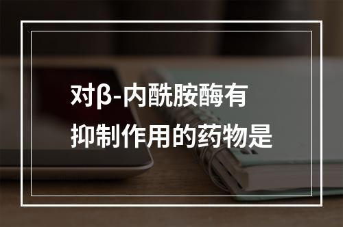 对β-内酰胺酶有抑制作用的药物是