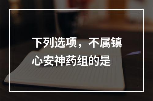 下列选项，不属镇心安神药组的是