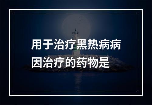 用于治疗黑热病病因治疗的药物是